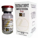 testenat depot é o mesmo que enantato de testoterona 250 mg 4ml da marca landerlan ou landerlan gold vendido em anabolizantebrasil.com.br o medicamento é ótimo para quem faz musculação treino de força físico turismo uso de substancias que ganha massa muscular uso de substancia para quem quer ter um corpo atlético ótimo para quem quer ter mais força se busca landerlan ou landerlan gold esse é o medicamento.
